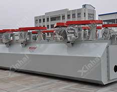 SF type flotation machine