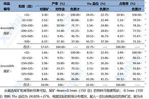 Mineral Maximized Comprehensive Utilization