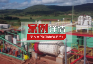 Guizhou sulfur-zinc mine flotation project