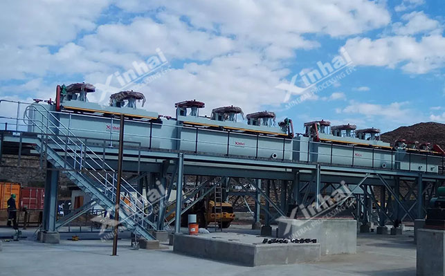 Mechanical agitator Flotation machine site