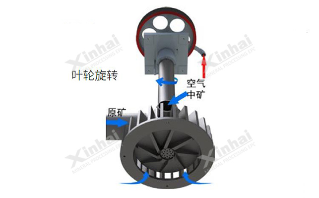 Mechanical agitator Flotation machine impeller