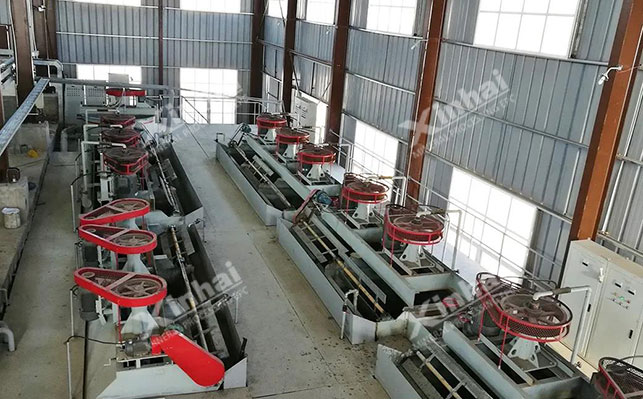 Xinhai Mining flotation machine equipment