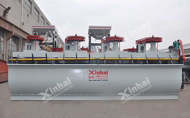 Xinhai Mechanical agitated flotation machine