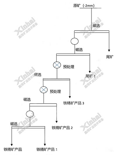 Design of mineral processing test process for an iron ore in India