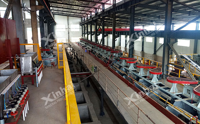  Xinhai gold mine flotation gold extraction operation site