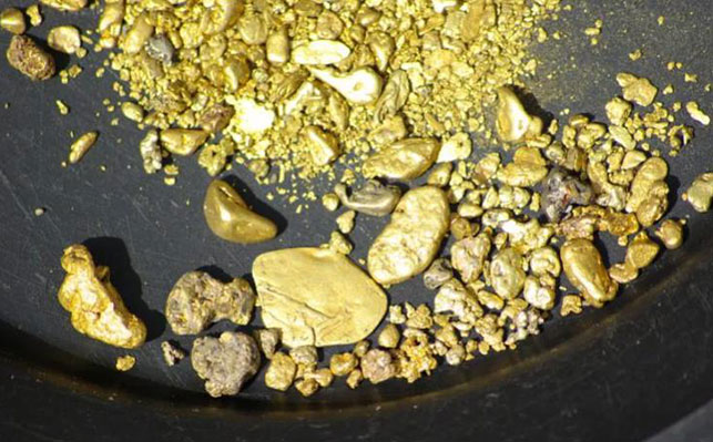 Placer Gold Mine