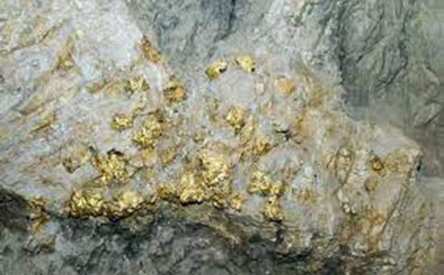 Gold-containing oxidized ore