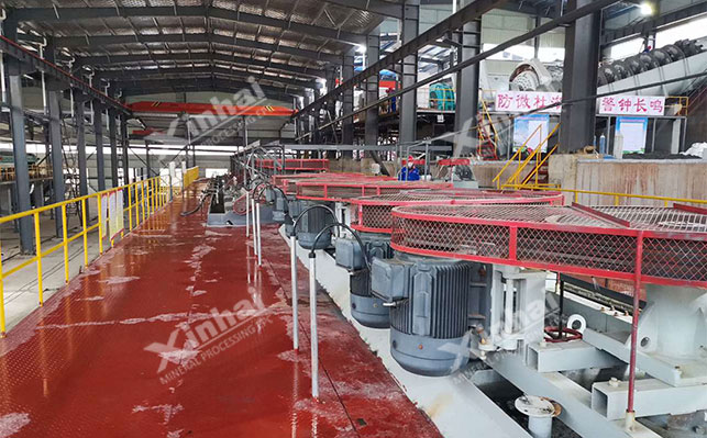 Henan 3000tpd gold mine beneficiation project