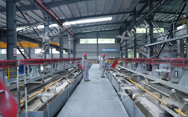 Hunan 800TPD fluorite flotation beneficiation project