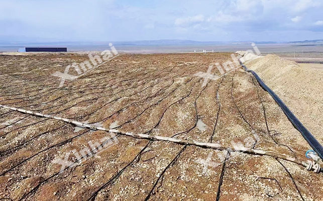 High sulfur and high arsenic gold ore leaching process