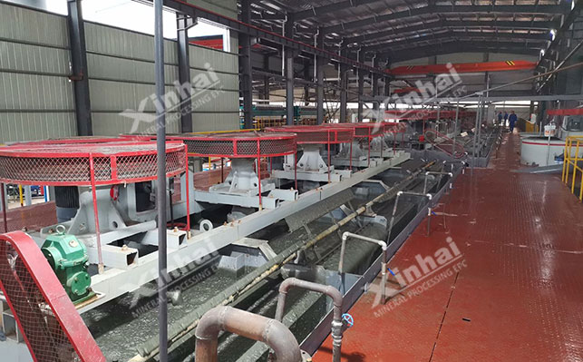 Flotation site of a project of Xinhai bf flotation machine